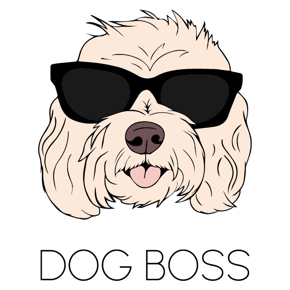 dog boss primary logo full colour